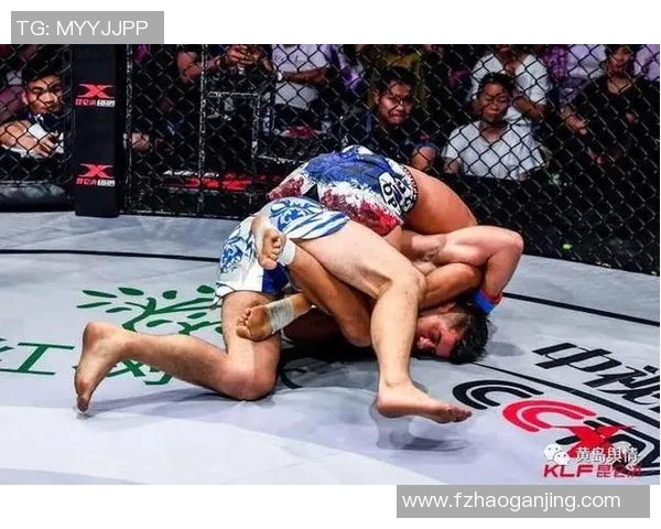 桑托斯与保地激战正酣谁能在这场较量中笑到最后