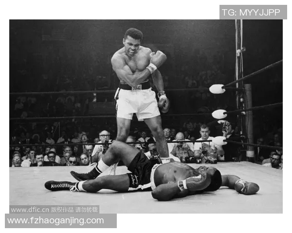 菲尔特与韦恩激战正酣赛果揭晓精彩瞬间回顾