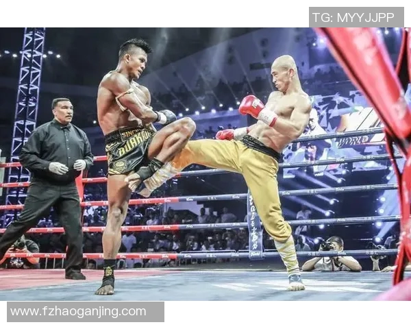 一龙与徐琰巅峰对决谁能称霸武林引发热议 一龙与徐琰巅峰对决谁能称霸武林引发热议