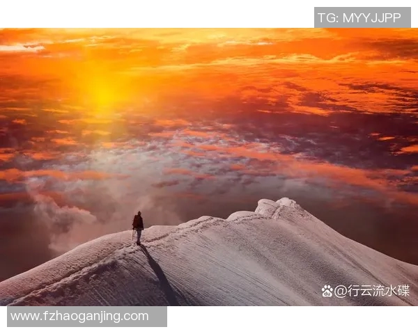 何思雨的心灵旅程：在风雨中寻找自我与希望的光芒